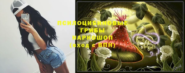 прущий лед Верея